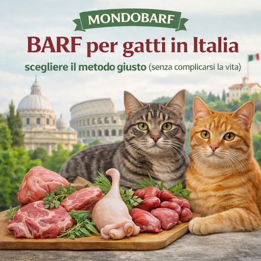 BARF per gatti: come scegliere il metodo giusto in Italia