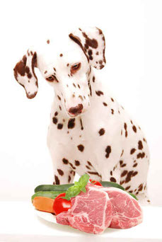 Passare alla dieta Barf