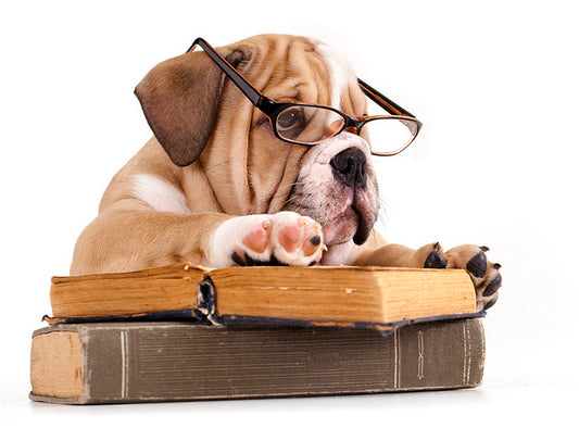 Il piano dieta in 3 semplici mosse