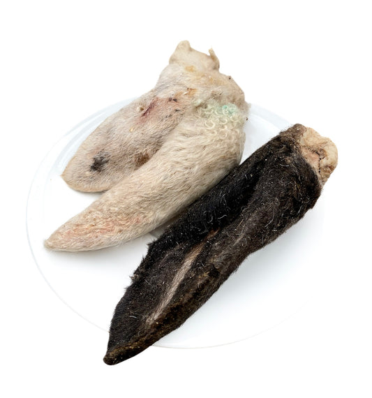 Agnello LioFiBarf Orecchie