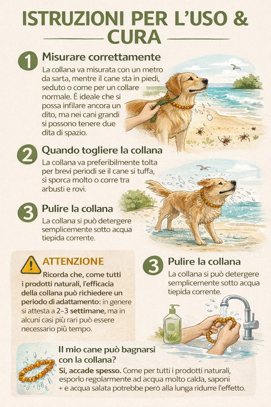 Collare in Ambra per Cani “Sole” | Supporto Naturale contro Zecche e Parassiti