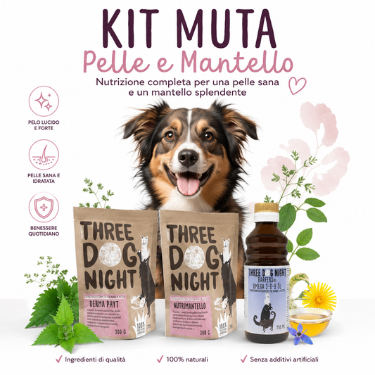 Kit Muta | Pelle e Mantello