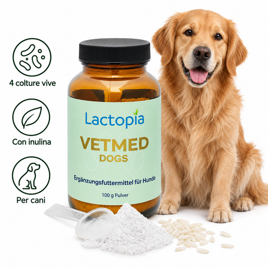 VETMED® Dogs