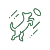 Alt Image