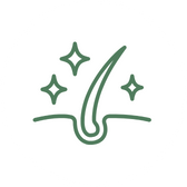 Alt Image